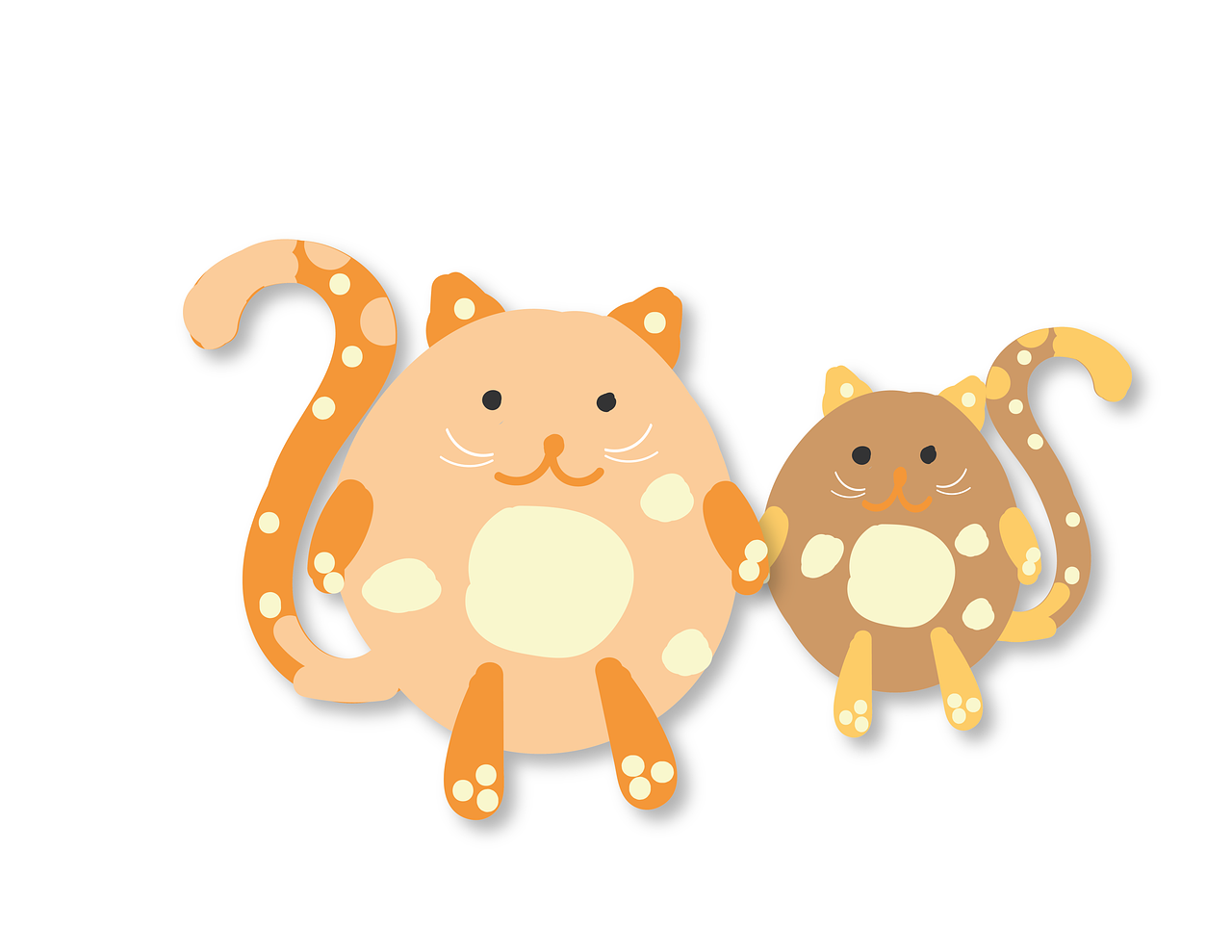 Prosimy, pomóż kotom w azylu!